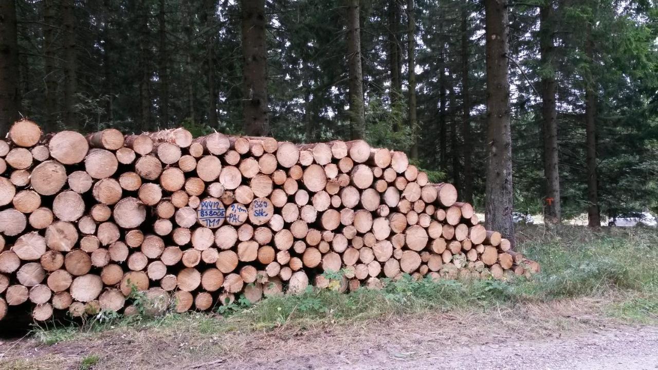 Appartamento Am Muehlenberg Altenau  Esterno foto