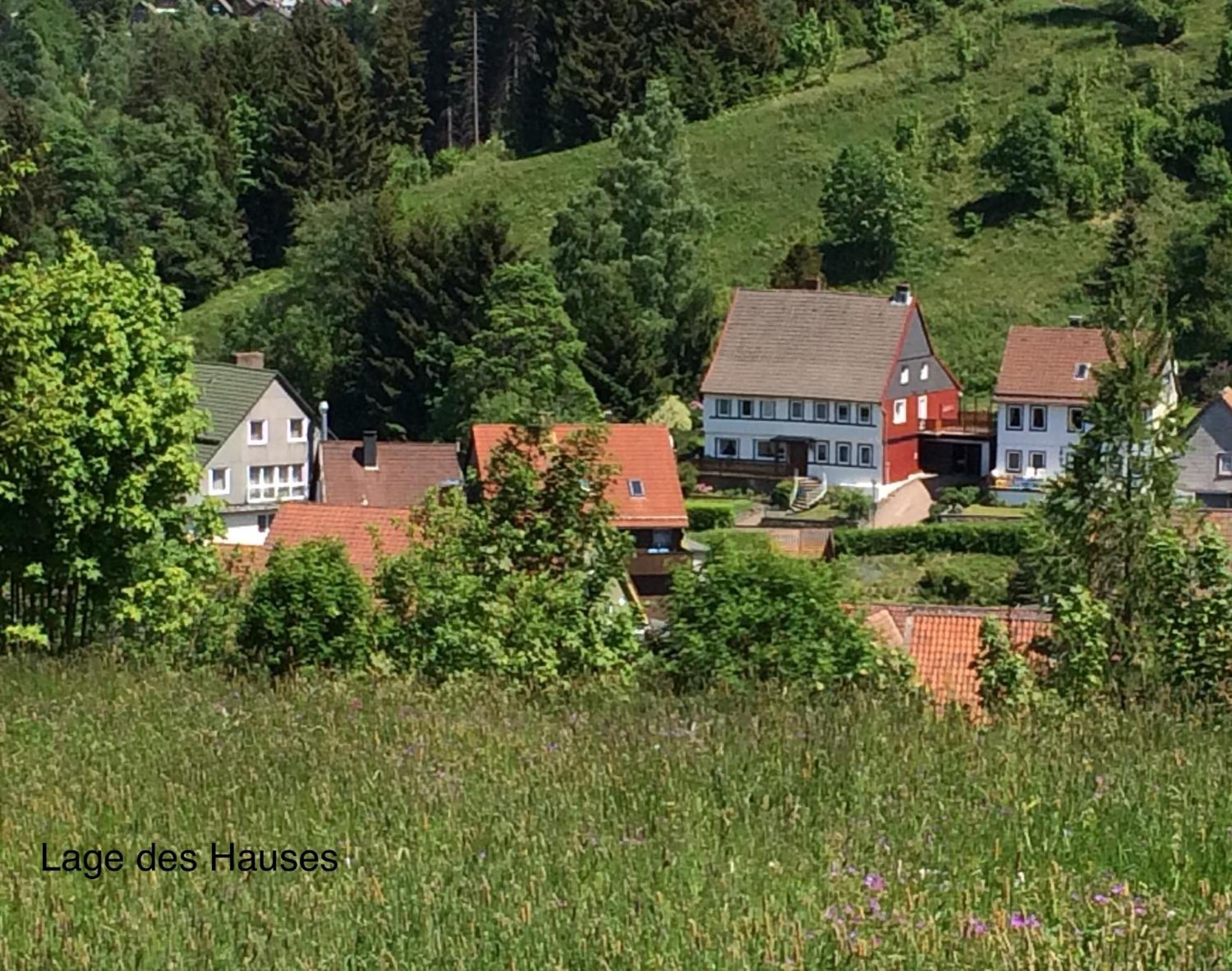 Appartamento Am Muehlenberg Altenau  Esterno foto