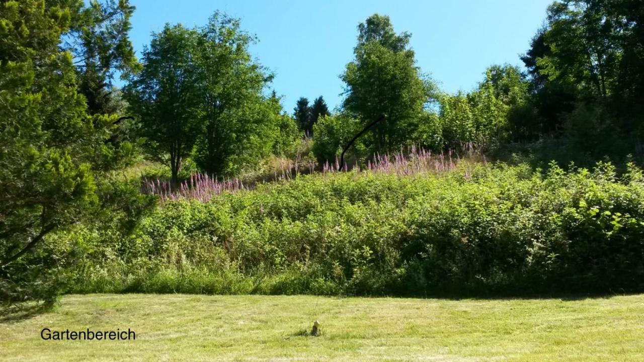 Appartamento Am Muehlenberg Altenau  Esterno foto